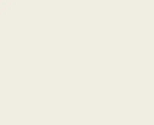 M0009010 RAL 9010 Paint